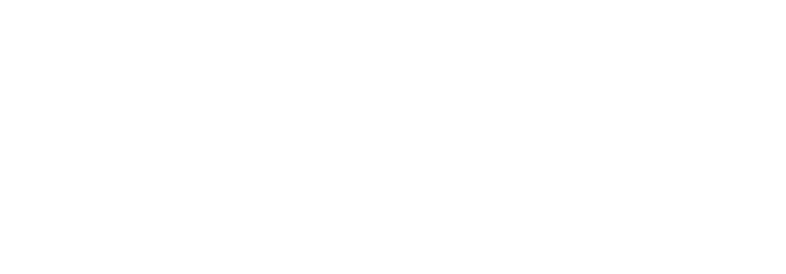 Medhavi University Logo