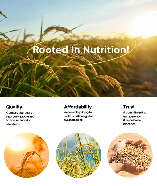 Millette Branding Company in Kolkata Case Study 4