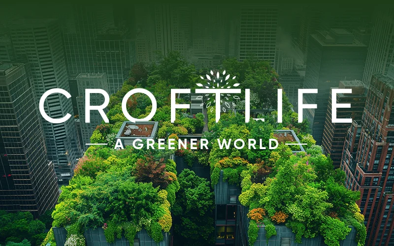 Croftlife Branding Company in Kolkata Mobile Case Study 3