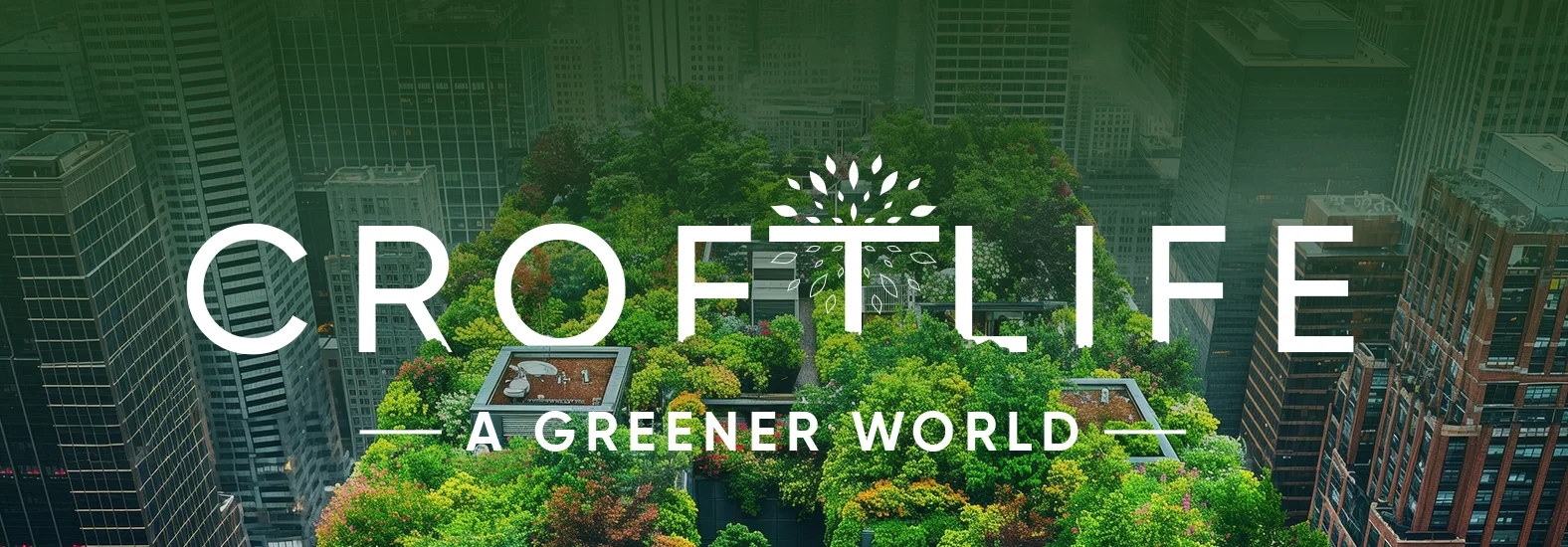 Croftlife Branding Company in Kolkata Case Study 3