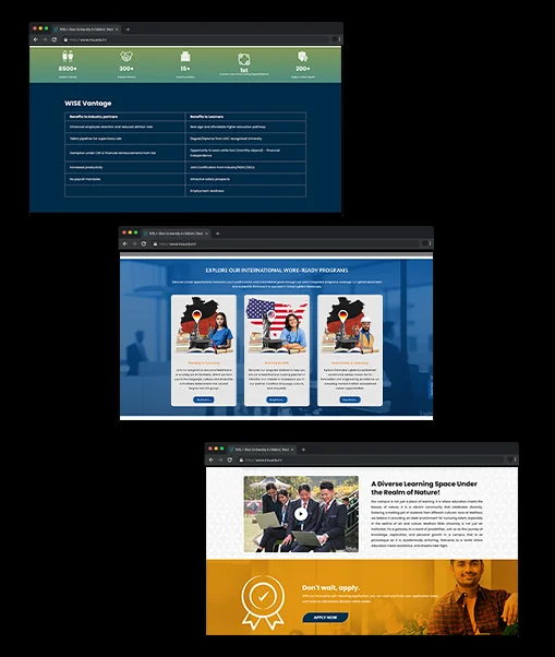 Medhavi Skills University