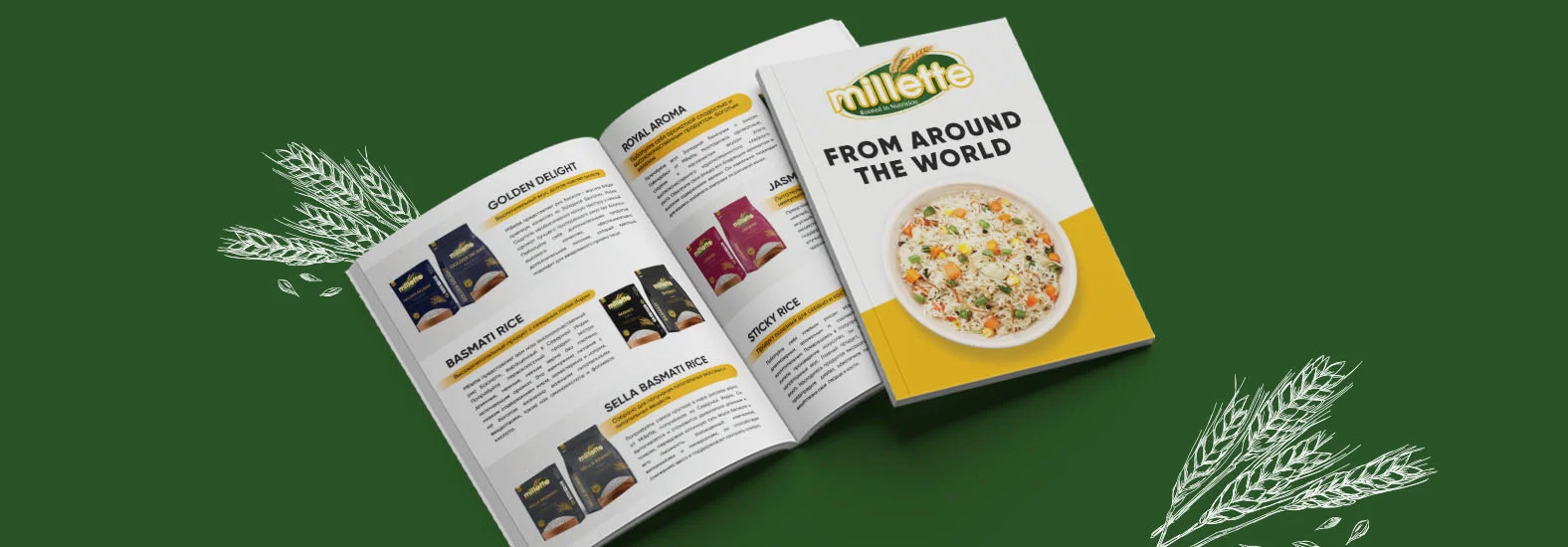 Millette Branding Company in Kolkata Case Study 2